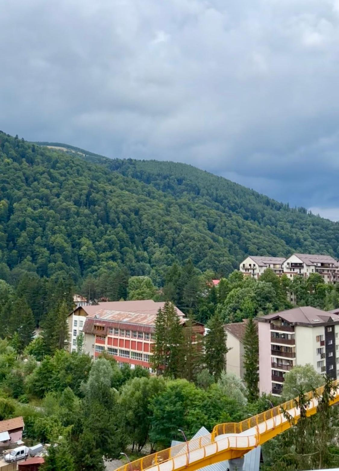 Alpine Line Studio Синая Экстерьер фото